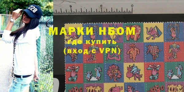 шишки Абаза