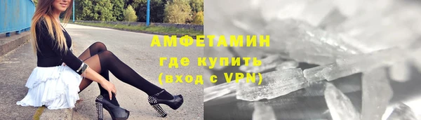 шишки Абаза