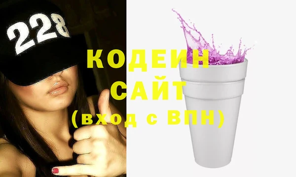 шишки Абаза
