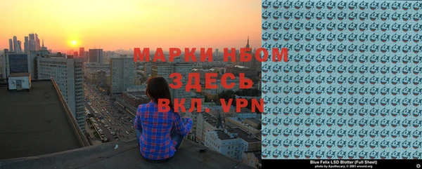 шишки Абаза
