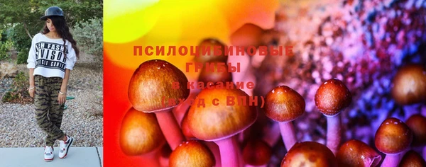 крисы Абинск