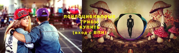 шишки Абаза