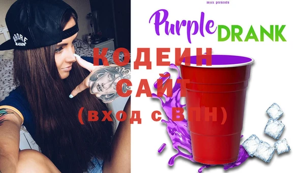 шишки Абаза